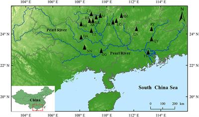 Genetic sources and diversity of the paddy field carp in the Pearl River basin inferred from two mitochondrial loci